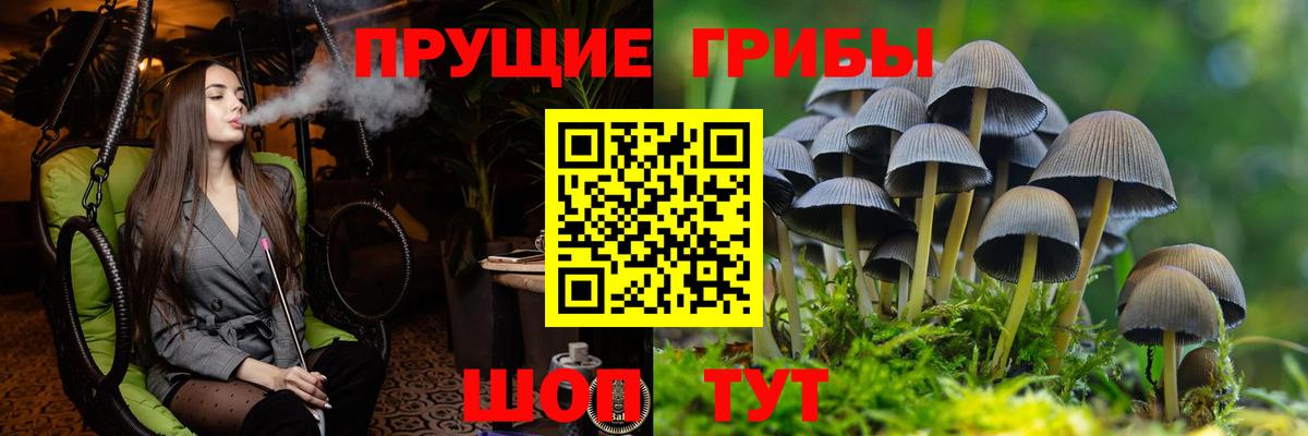 Галлюциногенные грибы ЛСД Дмитров