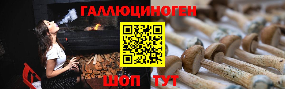 Галлюциногенные грибы GOLDEN TEACHER  Галлюциногенные грибы Magic Shrooms  Вход с VPN  где найти   Дмитров 